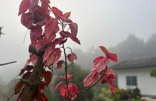 Thong Pha Phum House | บ้านพอดีโฮมสเตย์ทองผาภูมิ -กาญจนบุรี