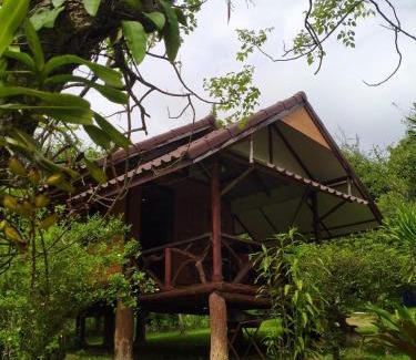 Wang Nam Khiao House | บ้านไร่ชายเขาวังน้ำเขียวฟาร์มสเตย์