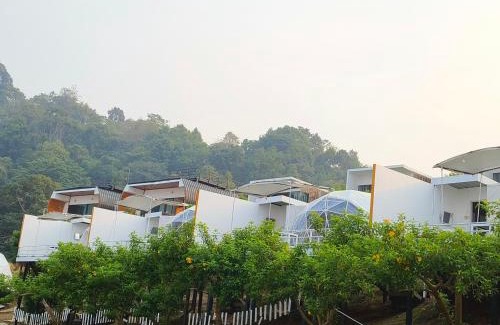 Mae Rim Other | ม่อนหมอกฟ้า ม่อนแจ่ม