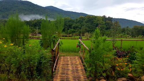 Pua House | ฮ้างนาตาจันทร์