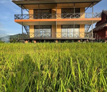 Luang Prabang House | ເຂົ້າໜຽວຟາມສະເຕ-Kao Niaw Farmstay