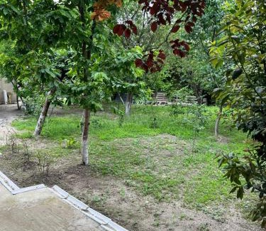 Tsqaltubo Apartment | მეგრული ეზო