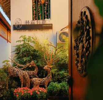 Dayan Old Town House | 丽江林森有鹿雪山观景民宿