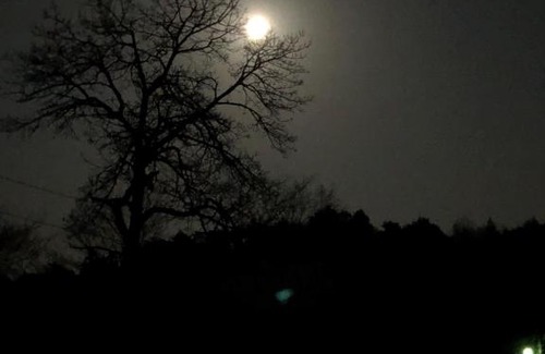 Takahashi Cabin | 吹屋ふれあいの森