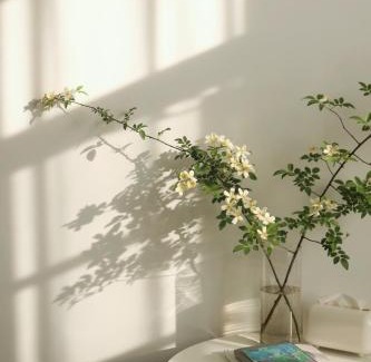 Dali Town House | 大理十二花园民宿