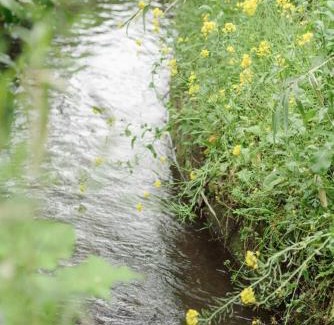 Kaneuchi Apartment | 山都せせらぎ荘