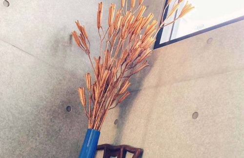 Fuxing District House | 拉拉山秘境 獵人谷櫻花莊園