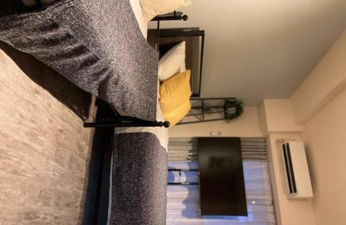 Shinkoiwa Apartment | 日本の下町新小岩デメテル202