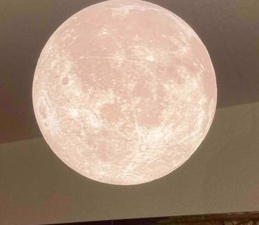 Chikusa Ward Apartment | 『沙羅居の森Suite』便利な名古屋都心部の高級デザイナーズマンション50 ㎡ まるごと貸切最大7名