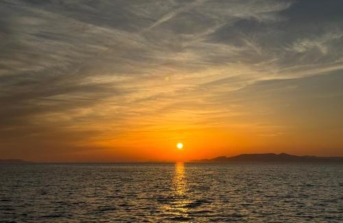 Kamiamakusa House | 波のたわむれ