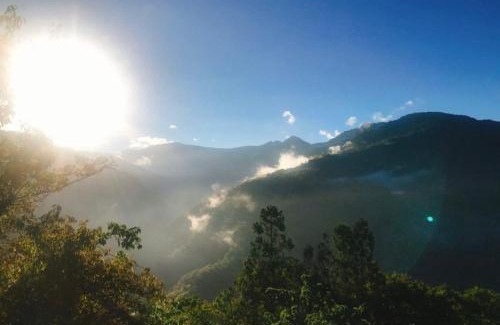 Fuxing District House | 熊居民宿Lala Mountain Bear Farm