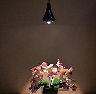 Nong Chaeng Villa | 芭提雅快乐老家