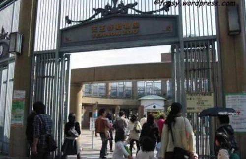 Abeno Apartment | 花跡民宿三号情侣房,家庭房,独享空间 ! 4分钟到难波,日本桥,心斋桥!