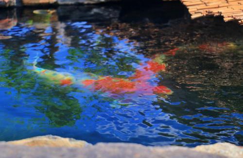 Utazu-cho Villa | 蔵宿 みやびや