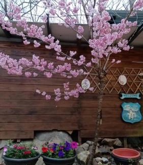 Fuxing District Other | 薔薇谷 民宿字108號