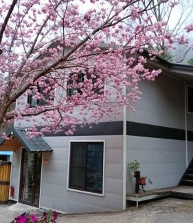 Fuxing District Other | 薔薇谷 民宿字108號