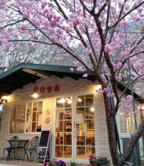 Fuxing District Other | 薔薇谷 民宿字108號