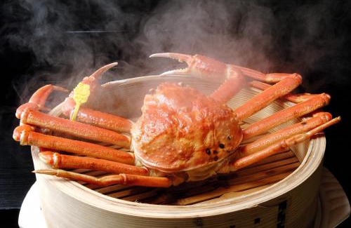 Echizen Hotel | 越前温泉 平成