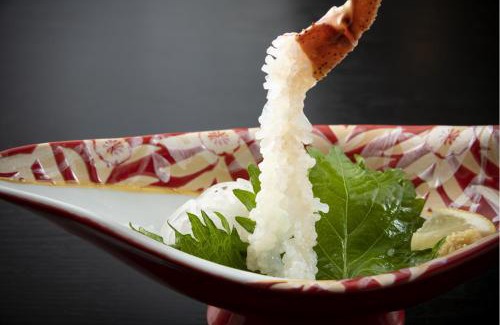 Echizen Hotel | 越前温泉 平成