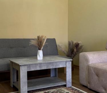 Ternopil Apartment | 2-к квартира в ЖК Андріївський Центр