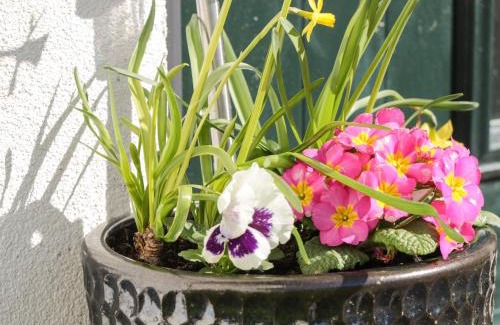 Brynteg House | 3 Parc Delfryn