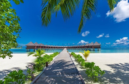 Olhuveli Resort | 310 m² Resort ∙ 127 guests