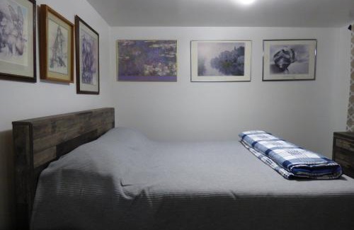 Midtown Anchorage Apartment | 410 E 45th ave Unit 3