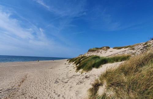 Vedersø Klit House | 7 person holiday home in Ulfborg-By Traum
