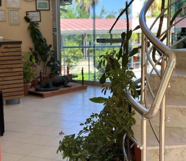 Adrasan Hotel | Adrasan Yazıcı Hotel