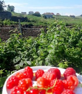 Tsalka House | Agro House Mezge - აგროსახლი მეზგე