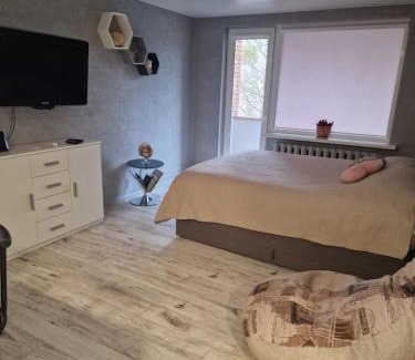 Druskininkai Apartment | Alanta
