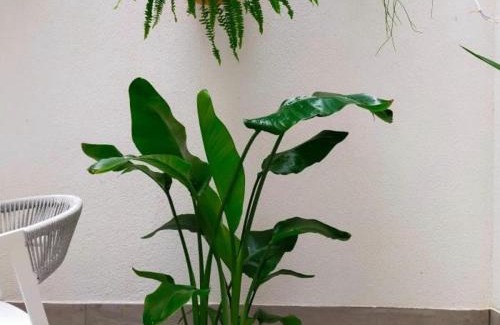 La Coruna Apartment | Alojamiento Beach Riazor
