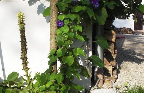 Kaisersdorf House | Alte Mühle Kaisersdorf