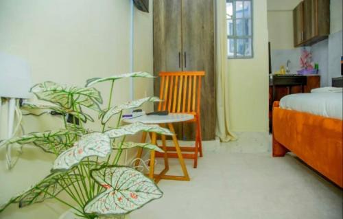 Nanyuki Apartment | Amber Studio with Netflix and WI-FI