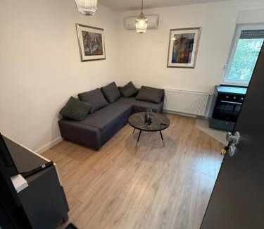 Sesvete Apartment | Ambijent 2