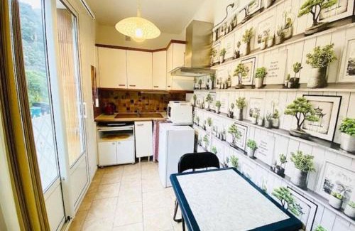 Amelie-les-Bains-Palalda Apartment | Amelie les Bains Coquet F1
