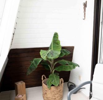 Wachenheim an der Weinstrasse Apartment | Apartment Mayer in Wachenheim an der Weinstraße