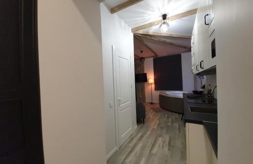 Panevezys Apartment | Apartamentai su Jacuzzi