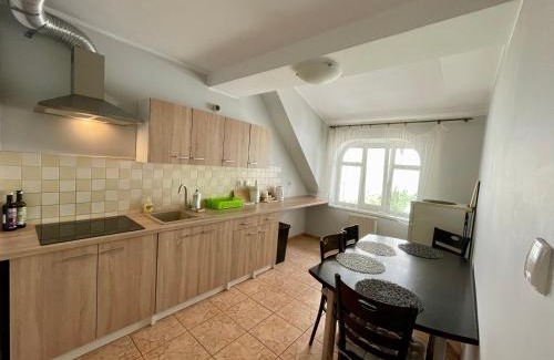 Elk Apartment | Apartamenty nad jeziorem - 4