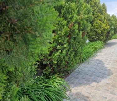 Sunny Beach Apartment | Aparthotel Salena