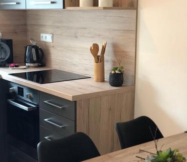 Mikulov Apartment | Apartmány Koněvova
