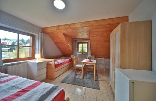 Zelezna Ruda Apartment | Apartmány U šneka