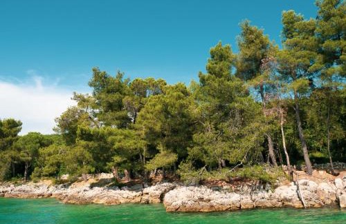 Sveti Vid Dobrinjski Apartment | Apartment Radmila-1 by Interhome