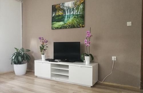 Catrnja Apartment | Apartment Smoljanac 14979b