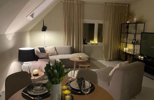 Alesund Apartment | Apartment with free parking 350 m from the center of Ålesund private apartment