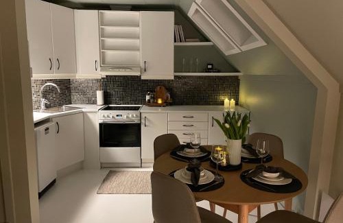 Alesund Apartment | Apartment with free parking 350 m from the center of Ålesund private apartment