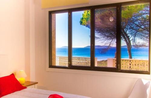 Montalvo Apartment | Apartment with Ocean Terrace