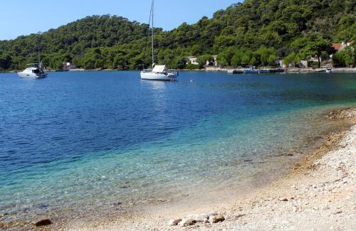 Pasadur Apartment | Apartments by the sea Pasadur, Lastovo - 8337