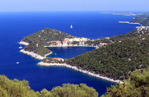 Zaklopatica Apartment | Apartments by the sea Zaklopatica, Lastovo - 8393