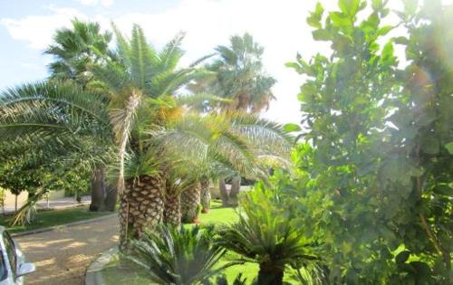 Vias Apartment | Appartement élégant à Vias avec balcon et jardin